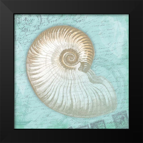 Nautical Shells Black Modern Wood Framed Art Print by Grey, Jace