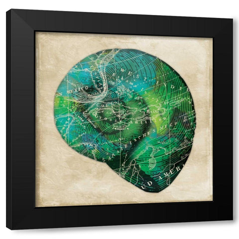 Map Shell2 Black Modern Wood Framed Art Print by Grey, Jace
