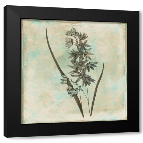 Earthy floral 3 Black Modern Wood Framed Art Print with Double Matting by Grey, Jace
