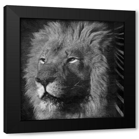 Animal Instincts Black And White Black Modern Wood Framed Art Print by Grey, Jace