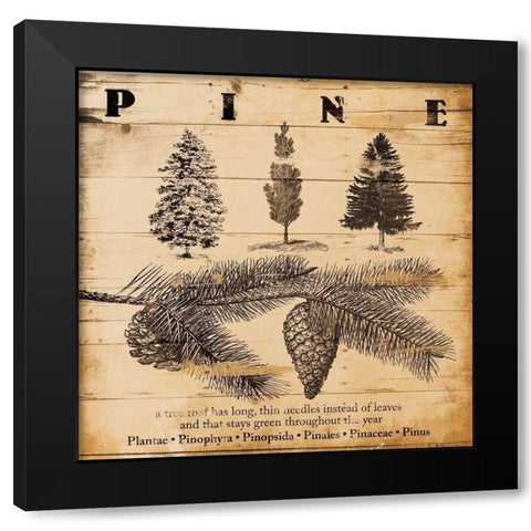 Pine Burnt Black Modern Wood Framed Art Print by Grey, Jace