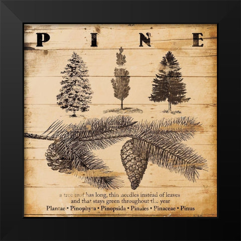 Pine Burnt Black Modern Wood Framed Art Print by Grey, Jace