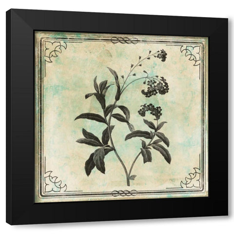 Bordered Stencil Floral Black Modern Wood Framed Art Print with Double Matting by Grey, Jace