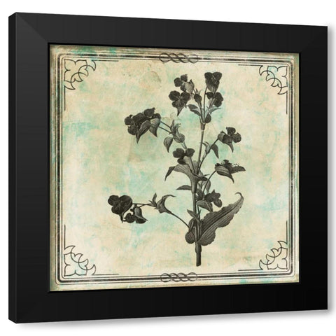 Bordered Stencil Floral Mate Black Modern Wood Framed Art Print with Double Matting by Grey, Jace