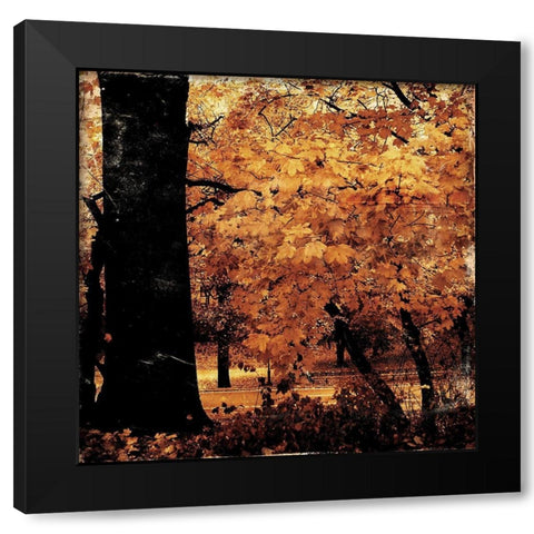 Fall Forest Mate Black Modern Wood Framed Art Print with Double Matting by Grey, Jace