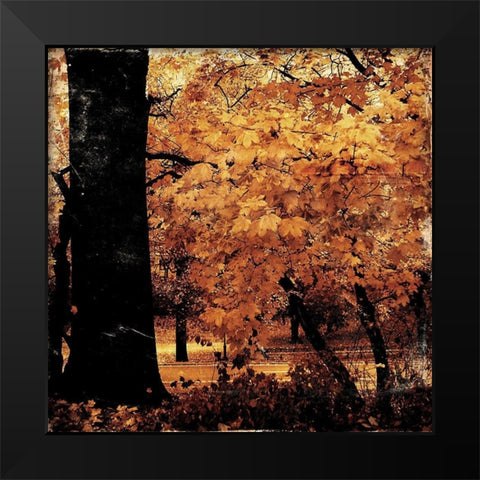 Fall Forest Mate Black Modern Wood Framed Art Print by Grey, Jace