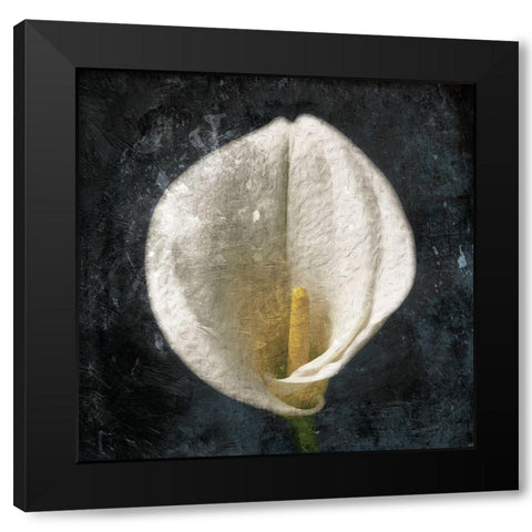 Dark Tulip Black Modern Wood Framed Art Print by Grey, Jace