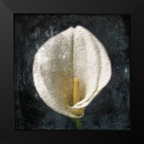 Dark Tulip Black Modern Wood Framed Art Print by Grey, Jace
