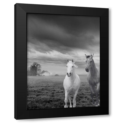 Not So Gray Times Black Modern Wood Framed Art Print by Keith, Jesse