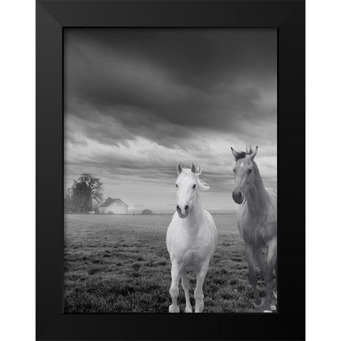 Not So Gray Times Black Modern Wood Framed Art Print by Keith, Jesse