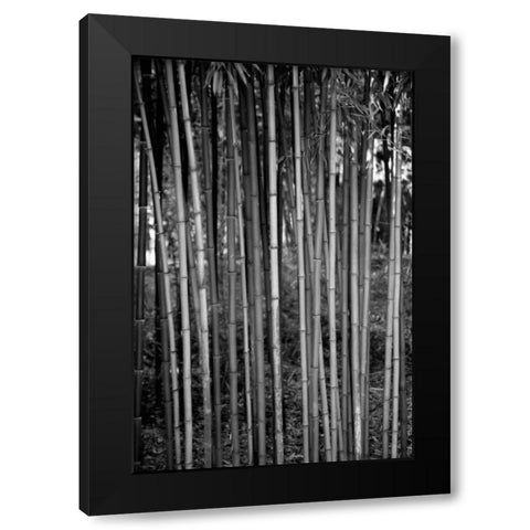 Beach Foliage 2 Black Modern Wood Framed Art Print with Double Matting by Grey, Jace