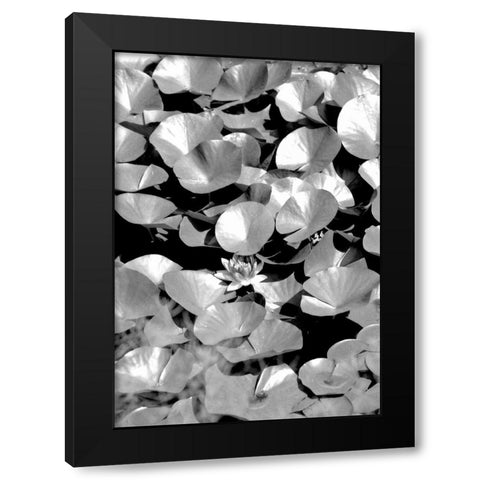 Beach Foliage 5 Black Modern Wood Framed Art Print with Double Matting by Grey, Jace