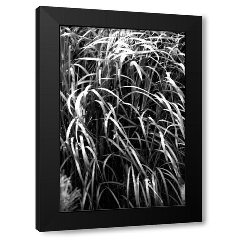 Beach Foliage 7 Black Modern Wood Framed Art Print with Double Matting by Grey, Jace