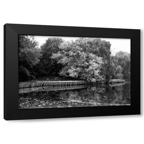entral Park Feather H Black Modern Wood Framed Art Print with Double Matting by Grey, Jace
