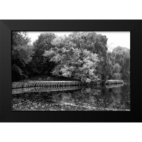 entral Park Feather H Black Modern Wood Framed Art Print by Grey, Jace