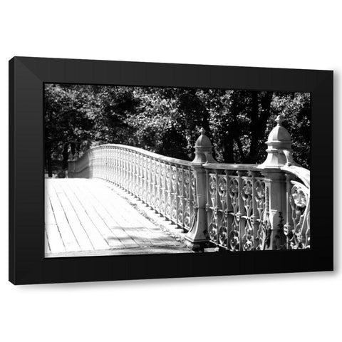 Central Park 1695 Black Modern Wood Framed Art Print with Double Matting by Grey, Jace