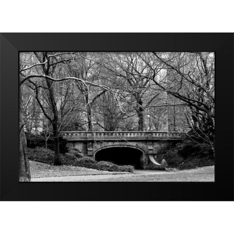 Central Park Bridge 2 Black Modern Wood Framed Art Print by Grey, Jace