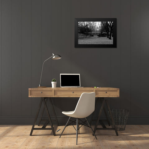 Central Park Bridge 3 Black Modern Wood Framed Art Print by Grey, Jace
