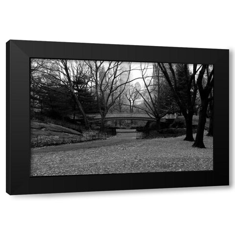 Central Park Bridge 3 Black Modern Wood Framed Art Print by Grey, Jace