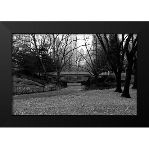 Central Park Bridge 3 Black Modern Wood Framed Art Print by Grey, Jace