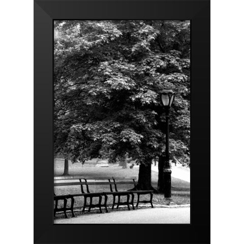 Central Park Benches Black Modern Wood Framed Art Print by Grey, Jace