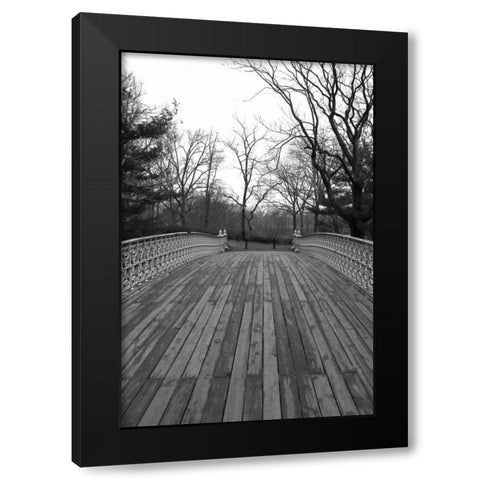 Central Park Bridge 4 Black Modern Wood Framed Art Print with Double Matting by Grey, Jace