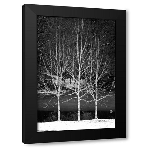 Central Park Three Amigos Winter Black Modern Wood Framed Art Print with Double Matting by Grey, Jace