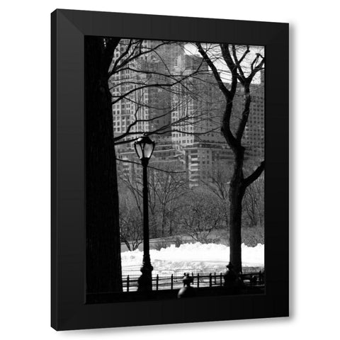 Central Park Concrete Forest Black Modern Wood Framed Art Print with Double Matting by Grey, Jace