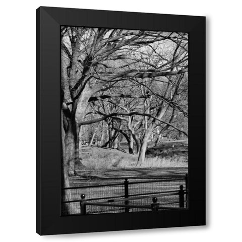 Central Park Image 1745 Black Modern Wood Framed Art Print with Double Matting by Grey, Jace