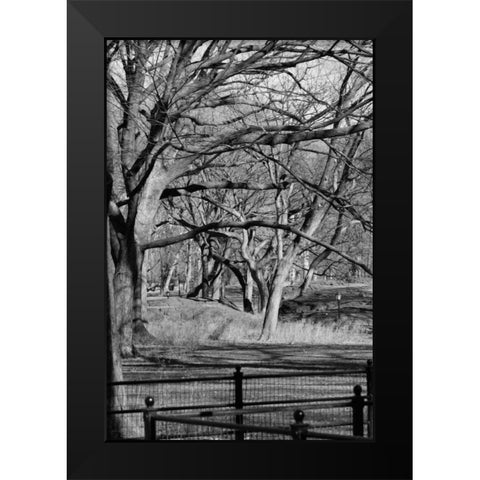 Central Park Image 1745 Black Modern Wood Framed Art Print by Grey, Jace