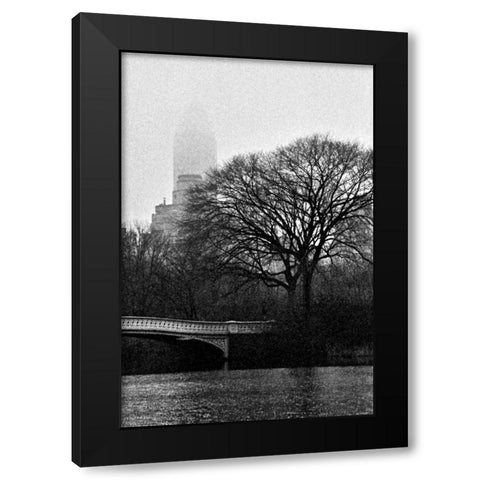 Central Park Bridge I Black Modern Wood Framed Art Print with Double Matting by Grey, Jace