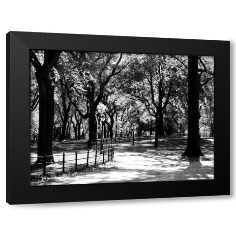 Central Park Walk Black Modern Wood Framed Art Print with Double Matting by Pica, Jeff