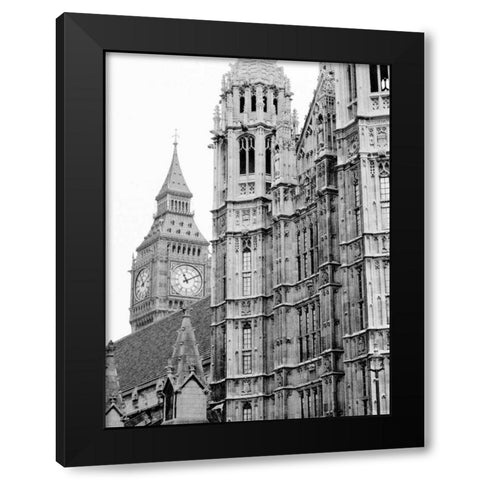 London Natural History Museum Black Modern Wood Framed Art Print with Double Matting by Grey, Jace