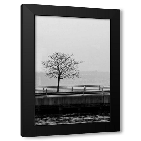Tree View 1 Black Modern Wood Framed Art Print by Pica, Jeff