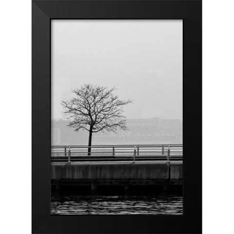 Tree View 1 Black Modern Wood Framed Art Print by Pica, Jeff