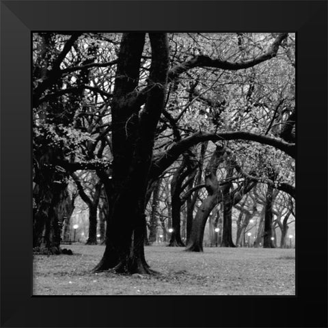 Central Park 2A Black Modern Wood Framed Art Print by Grey, Jace
