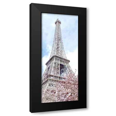 Paris in Bloom 1 Black Modern Wood Framed Art Print by Kimberly, Allen