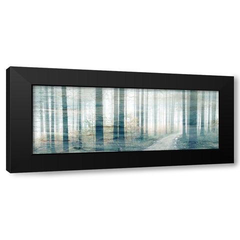 Forest Road Black Modern Wood Framed Art Print with Double Matting by Kimberly, Allen