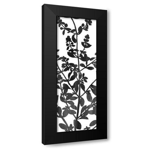 Botanical Panel 1 Black Modern Wood Framed Art Print with Double Matting by Allen, Kimberly