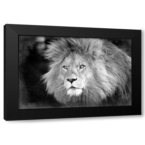 Intent Black Modern Wood Framed Art Print with Double Matting by Kimberly, Allen