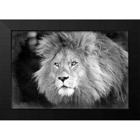Intent Black Modern Wood Framed Art Print by Kimberly, Allen