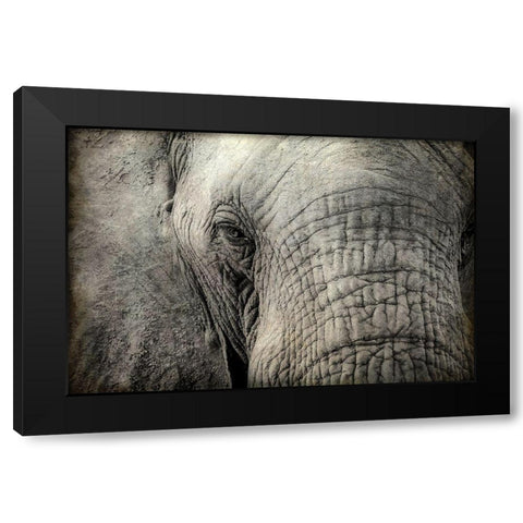 Gazing Black Modern Wood Framed Art Print with Double Matting by Kimberly, Allen
