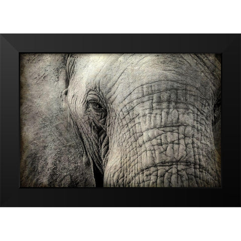 Gazing Black Modern Wood Framed Art Print by Kimberly, Allen