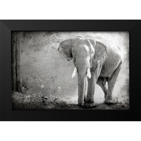 Olde Grey Black Modern Wood Framed Art Print by Kimberly, Allen
