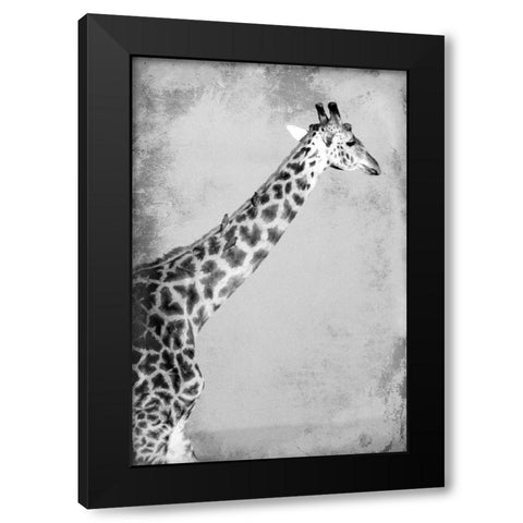 Homeward Black Modern Wood Framed Art Print with Double Matting by Kimberly, Allen