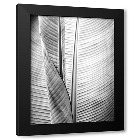 Metal BW Plant 1 Black Modern Wood Framed Art Print by Allen, Kimberly