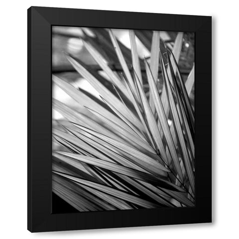 Metal BW Plant 2 Black Modern Wood Framed Art Print with Double Matting by Allen, Kimberly
