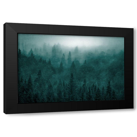 Emerald Forest Black Modern Wood Framed Art Print with Double Matting by Kimberly, Allen