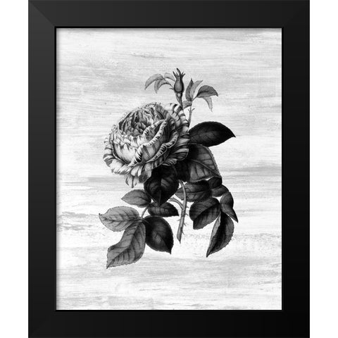 Botanical Flower 2 Black Modern Wood Framed Art Print by Kimberly, Allen