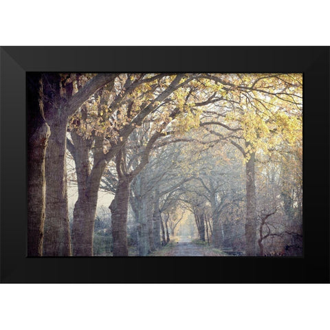Avenue of Trees Black Modern Wood Framed Art Print by Kimberly, Allen